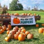Fall Family Fun Activities You Don’t Want to Miss